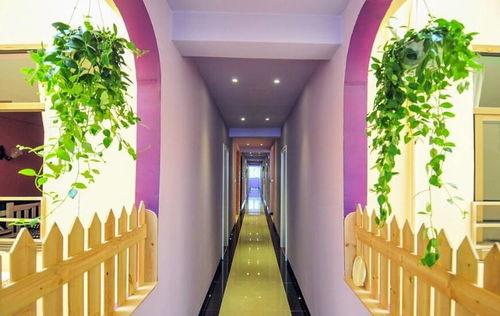 三亚民宿爆料视频播放网站,热门视频网站带你探秘民宿魅力